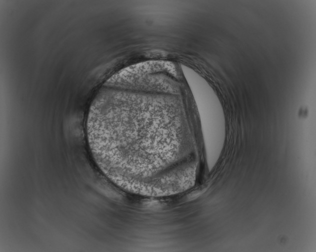 X0000091950616200710041009
