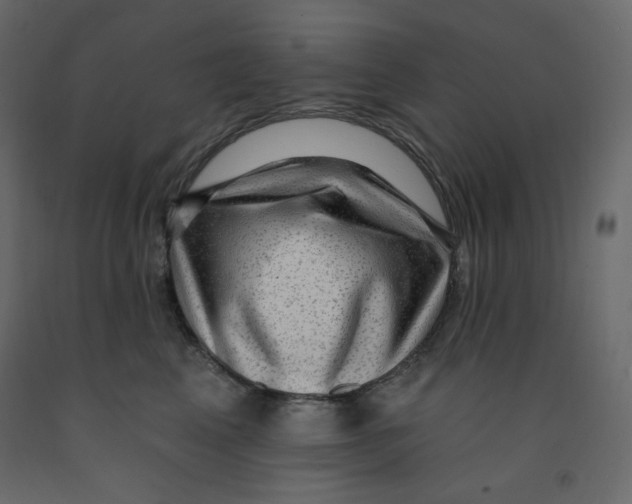 X0000091950617200710041009