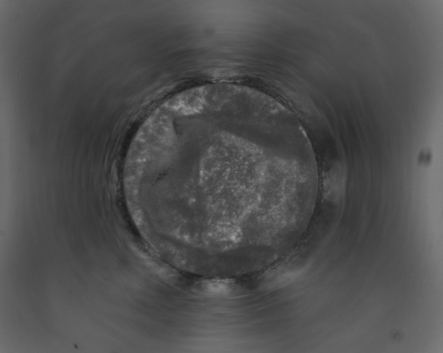 X0000091950618200710041009