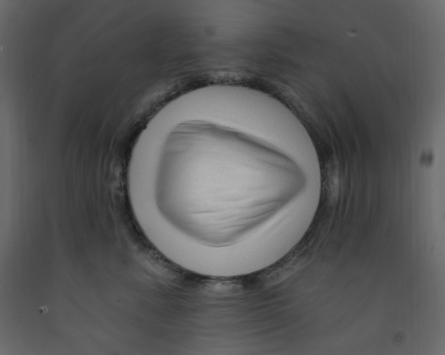 X0000091950619200710041009