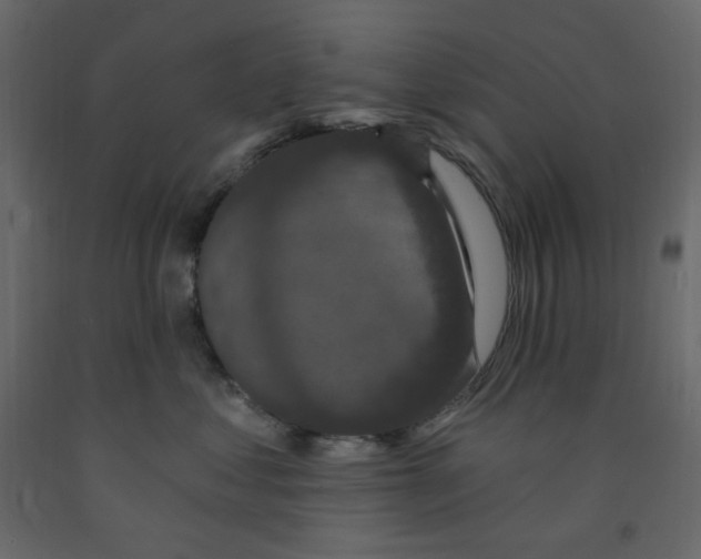 X0000091950621200710041009
