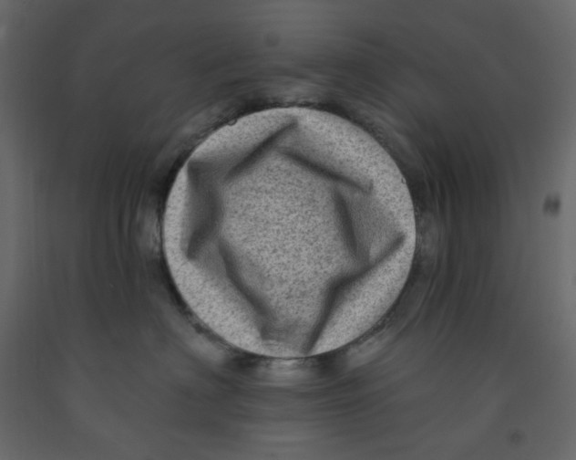 X0000091950622200710041009