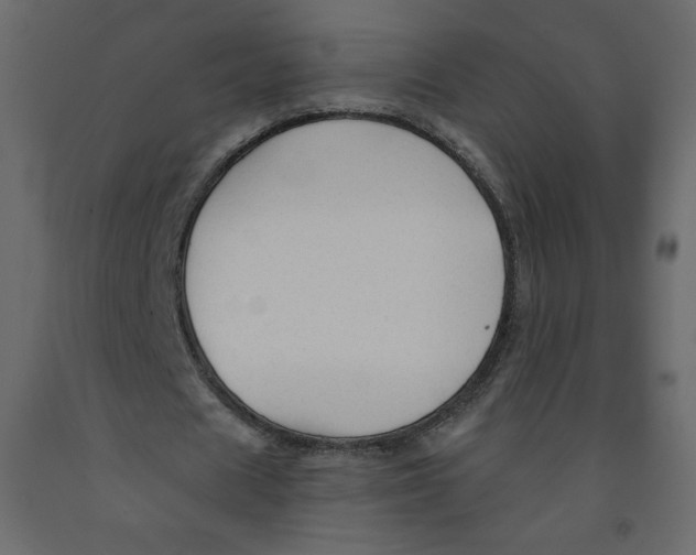X0000091950625200710041008