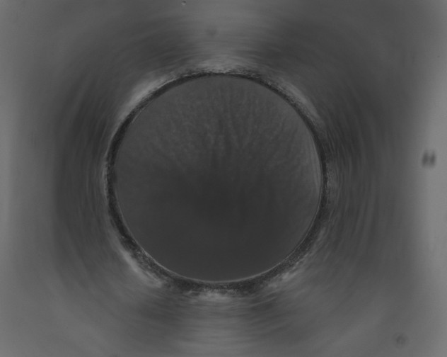 X0000091950626200710041008