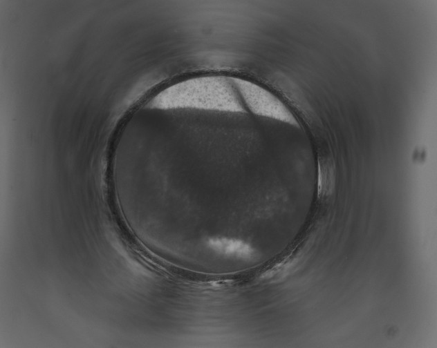 X0000091950627200710041008