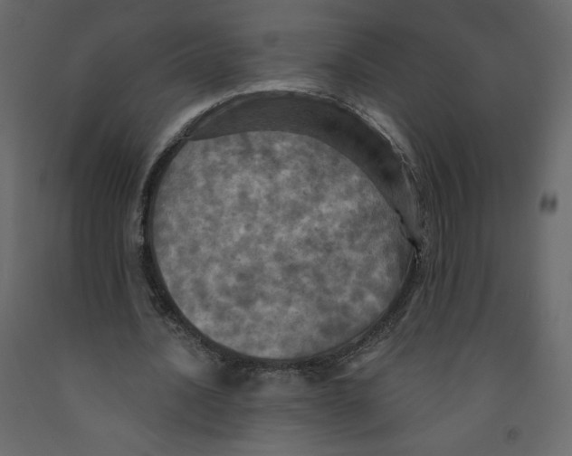X0000091950628200710041008