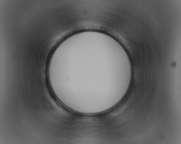 X0000091950629200710041008
