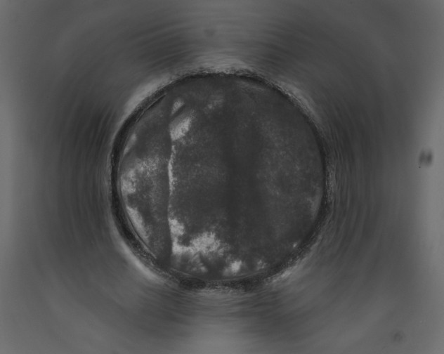 X0000091950630200710041008