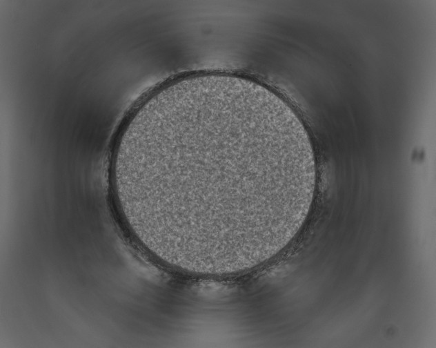 X0000091950632200710041008