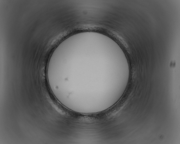 X0000091950633200710041008