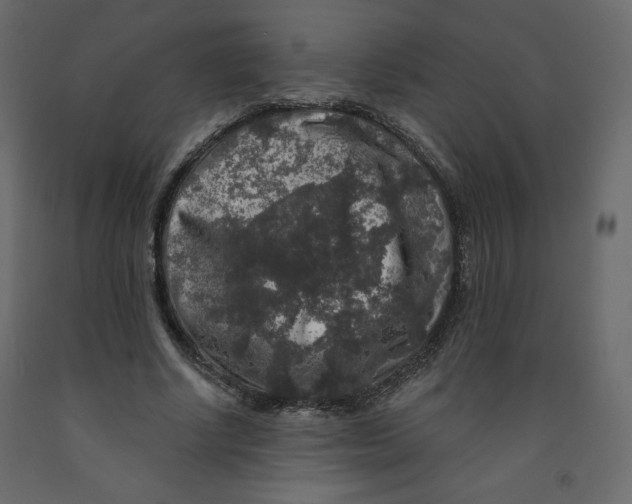 X0000091950634200710041008