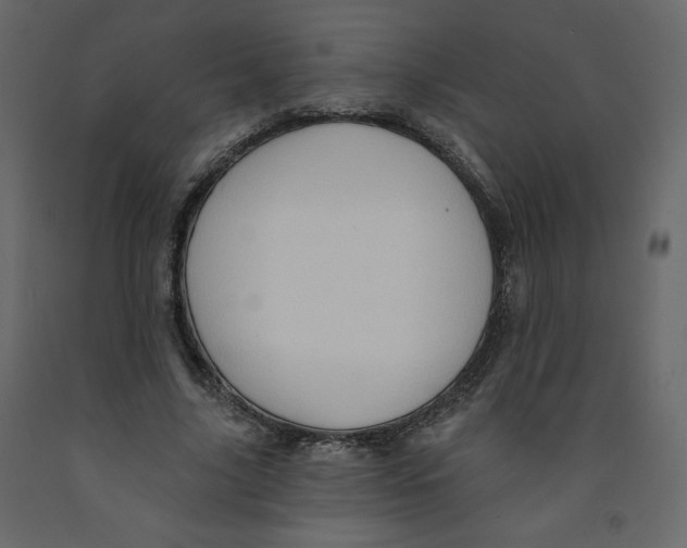 X0000091950635200710041008