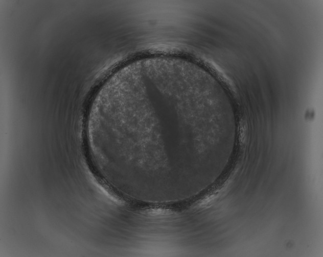 X0000091950637200710041008
