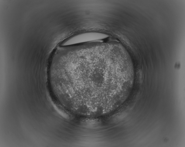 X0000091950638200710041008
