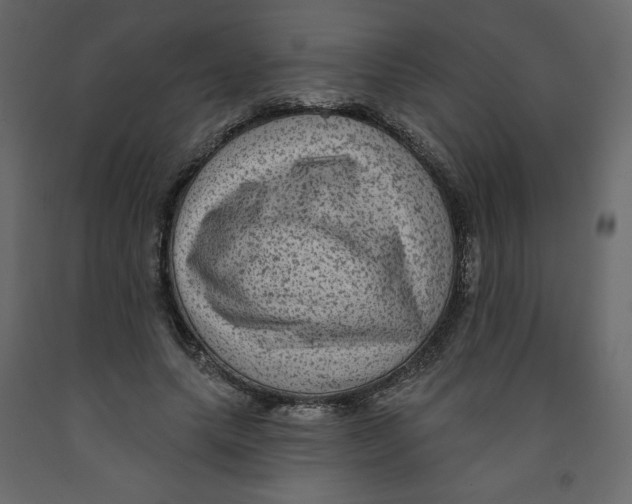 X0000091950639200710041008