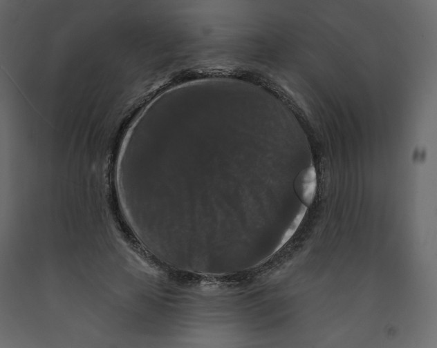 X0000091950641200710041008