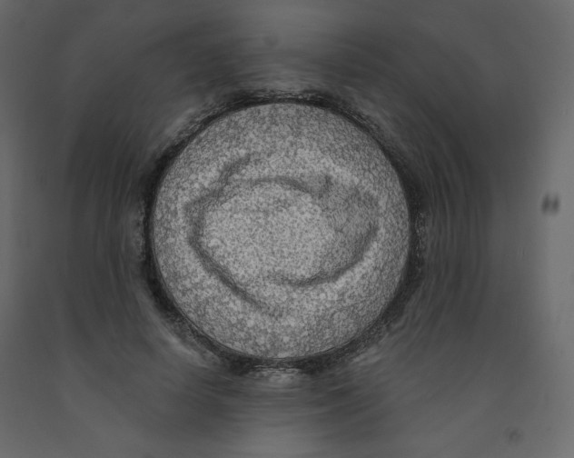 X0000091950642200710041008
