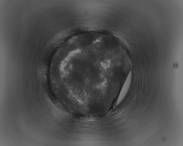 X0000091950643200710041008