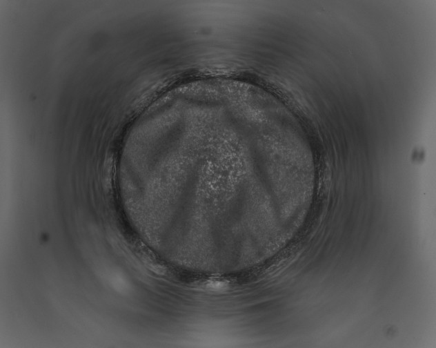 X0000091950647200710041009