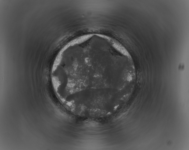 X0000091950648200710041009
