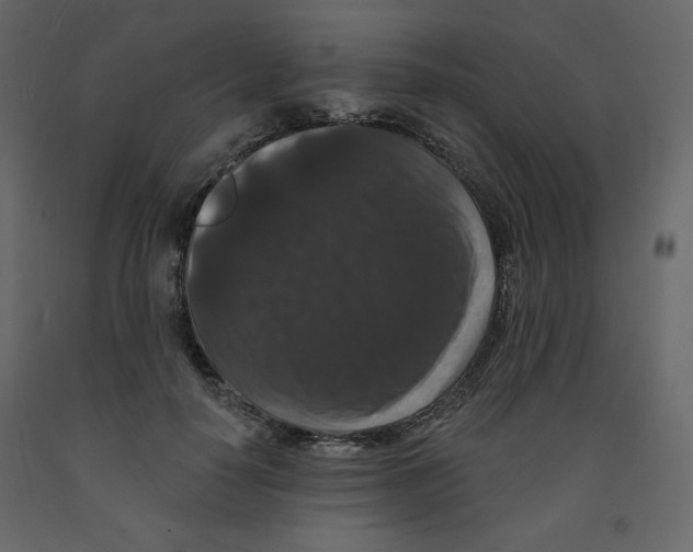 X0000091950650200710041009