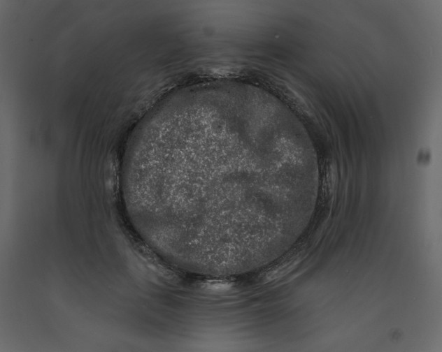 X0000091950651200710041009