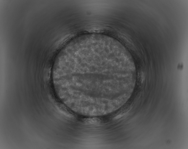 X0000091950652200710041009