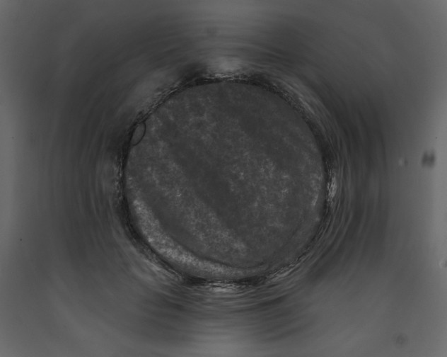 X0000091950653200710041009