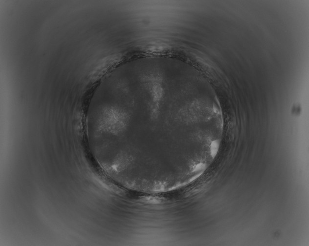X0000091950654200710041009