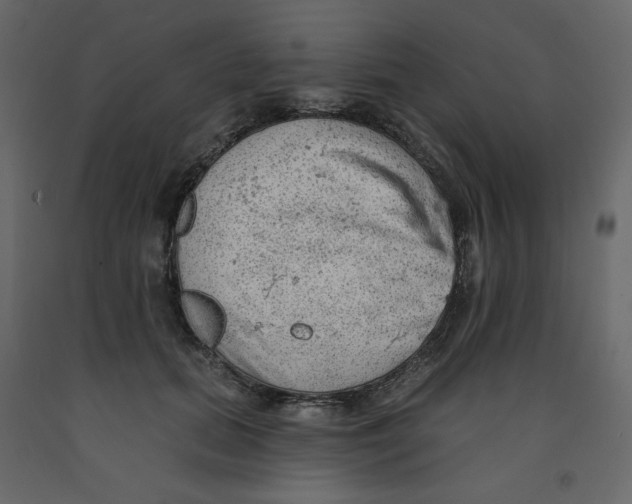 X0000091950655200710041009