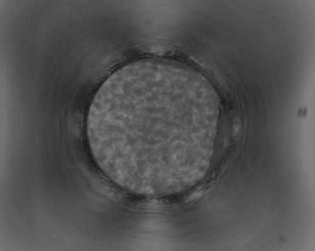 X0000091950656200710041009