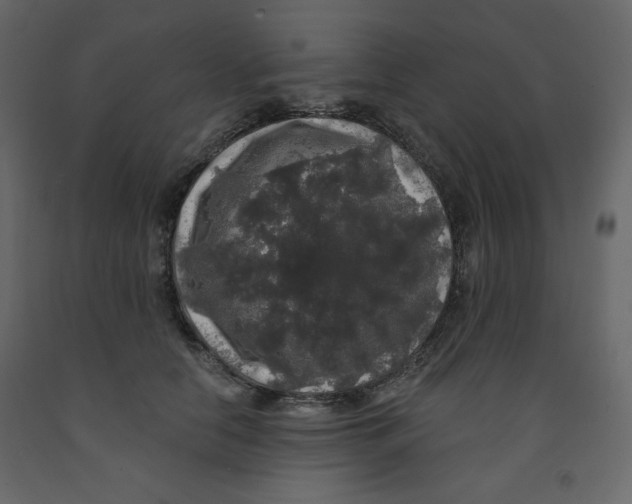 X0000091950658200710041009