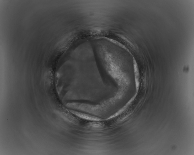 X0000091950659200710041009
