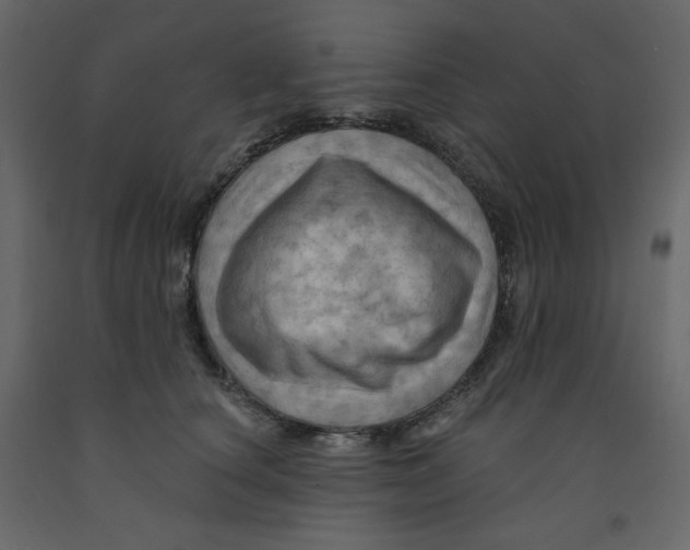 X0000091950660200710041009