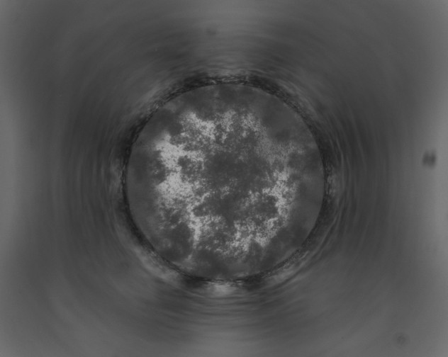 X0000091950662200710041009