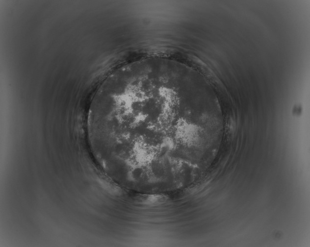 X0000091950663200710041009
