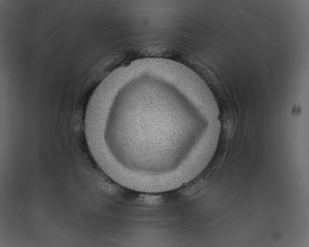 X0000091950665200710041009