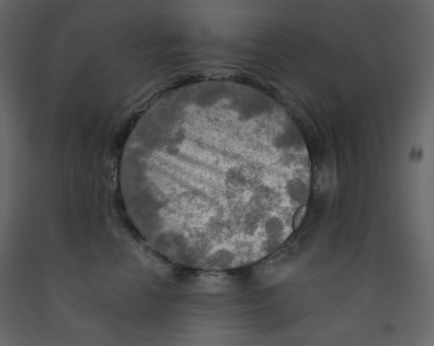 X0000091950666200710041009