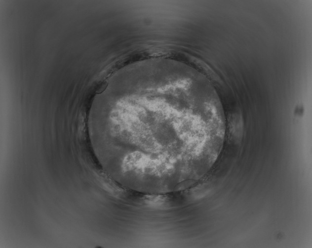X0000091950667200710041009