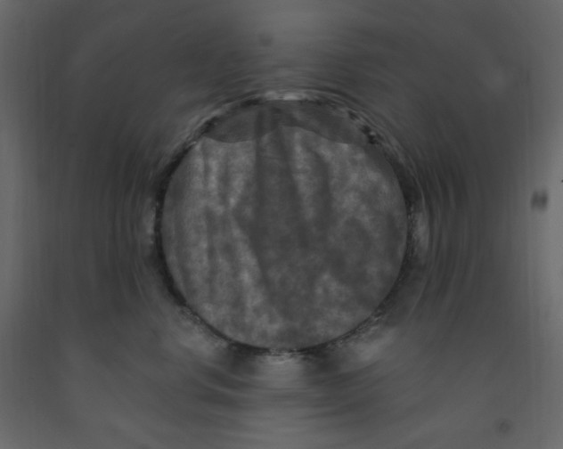 X0000091950668200710041009