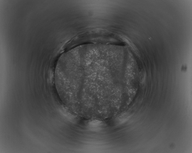 X0000091950669200710041009