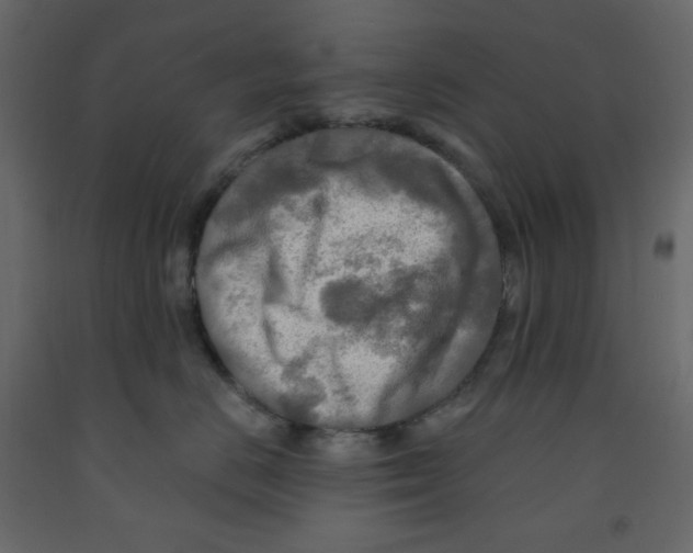 X0000091950670200710041009