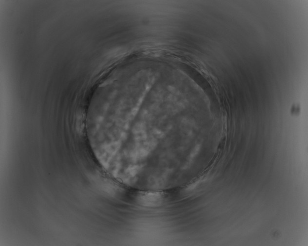 X0000091950671200710041009