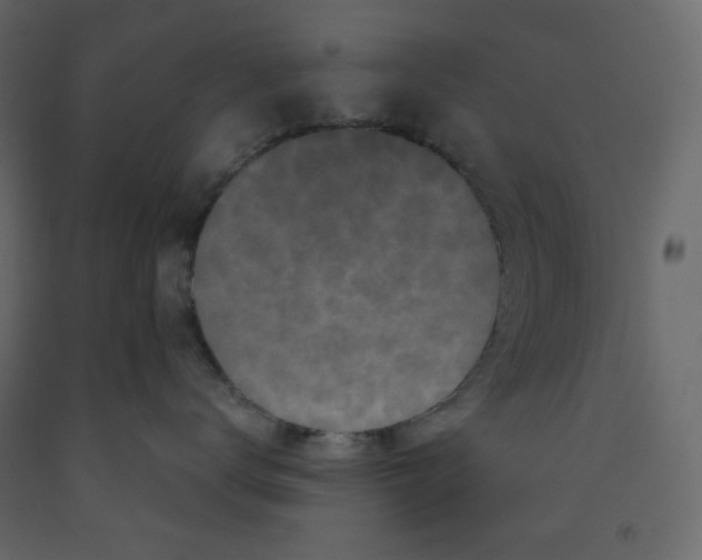 X0000091950672200710041009