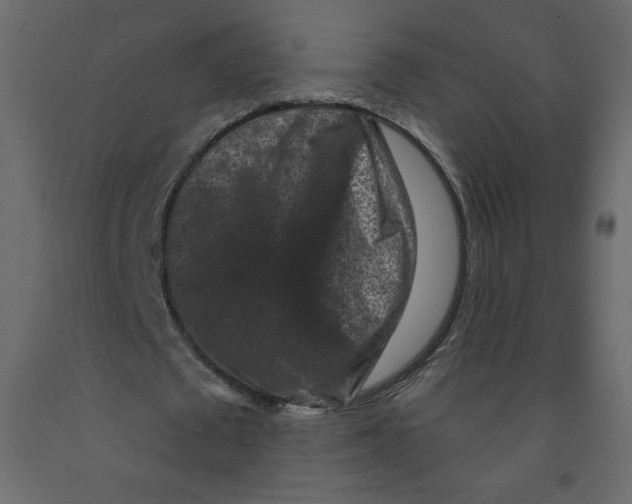 X0000091950673200710041008