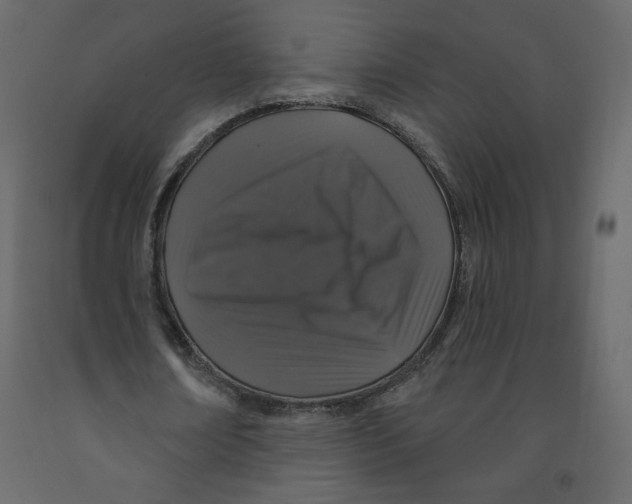 X0000091950674200710041008
