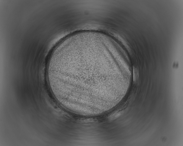 X0000091950675200710041008