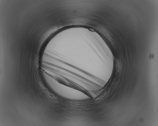 X0000091950676200710041008