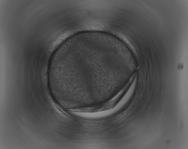 X0000091950677200710041008