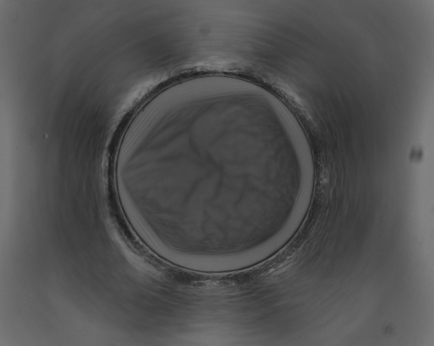 X0000091950678200710041008